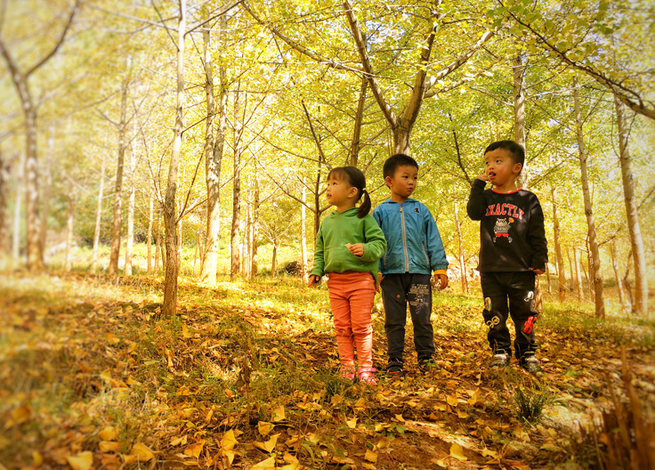 1543825998267683.jpg 2.jpg